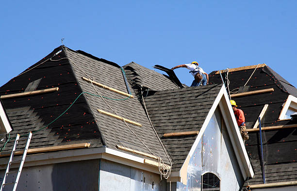 Roof Gutter Cleaning in Thayer, MO