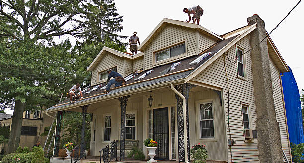 Best Metal Roofing Contractor  in Thayer, MO